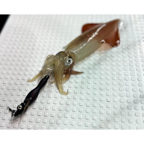 アニサキス　グラマラスッテ 30号