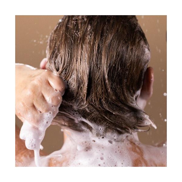 LUSH �j���[ �V�����v�[�o�[ �Ō` �V�����v�[ �N�����W���O �X�J���v  ���� ���s���i �}�b�T�[�W �m���V���R�� �R�X�� �v���[���g ���b�V�� ���� ���i�摜2