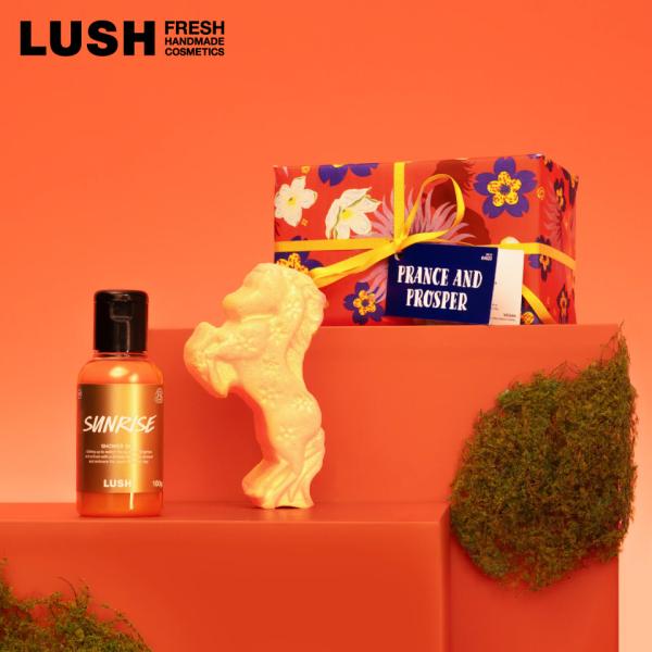 ■セット内容＜バスボム＞＜シャワージェル＞＜関連キーワード＞LUSH 公式 年賀ギフト 2026 プレゼント ギフト 贈り物 プレゼント交換 パーティ お礼 祝い お返し 誕生日 男性 女性 彼氏 彼女 友達 子供 孫 実用品 日用品 おし...