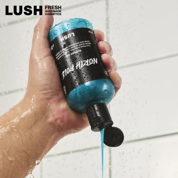 LUSH ノースポール シャワージェル ボディソープ クリスマス 数量限定 ギフト プレゼント 保湿 洗体 ミント 清涼感 爽快 香り ラッシュ 公式 290g