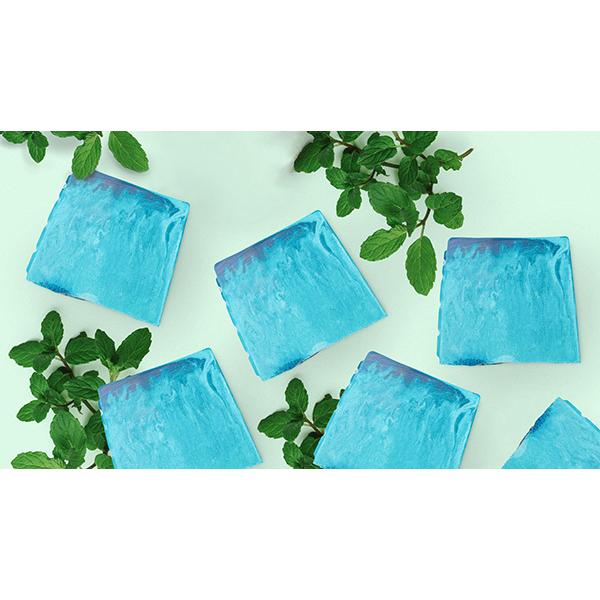 LUSH �A�E�g�o�b�N���C�g �\�[�v �Ō` �Ό�  �v�`�M�t�g �y�p�[�~���g ���[�J�� �������O���X �u���� ������  �R�X�� �v���[���g ���b�V�� ���� ���i�摜3