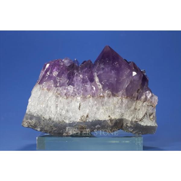 AWXg NX^[ uWY u VR p[Xg[