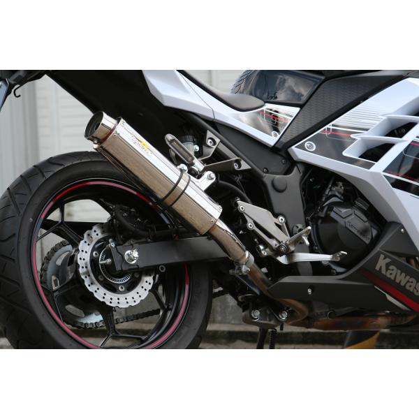 Ninja Realize ニンジャ250 バイクマフラー JBK-EX250L 2013年〜2017年