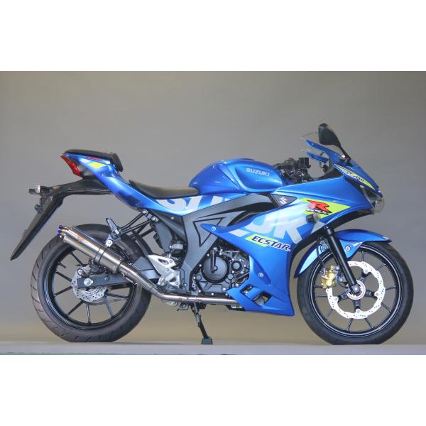 luvias_v-202-sp19