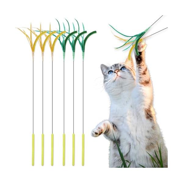 ねこじゃらし 楽天市場】【11/5限定 抽選で100％ポイントバック】 楽しく遊ぼ