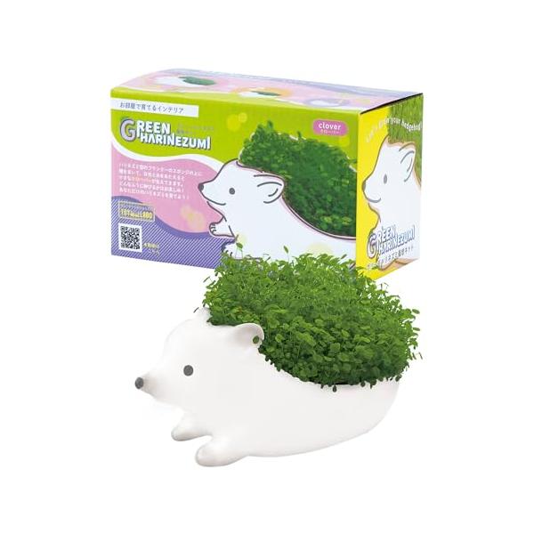 -/-/TOY-8-02・ハリネズミ型のプランターを使って、クローバーを育てることができる栽培キット・クローバーはどのように伸びるかはお楽しみ。育つ様子と一緒に楽しもう・別の植物を育てたり、小物入れとしても使えます・セット内容：プランター（...