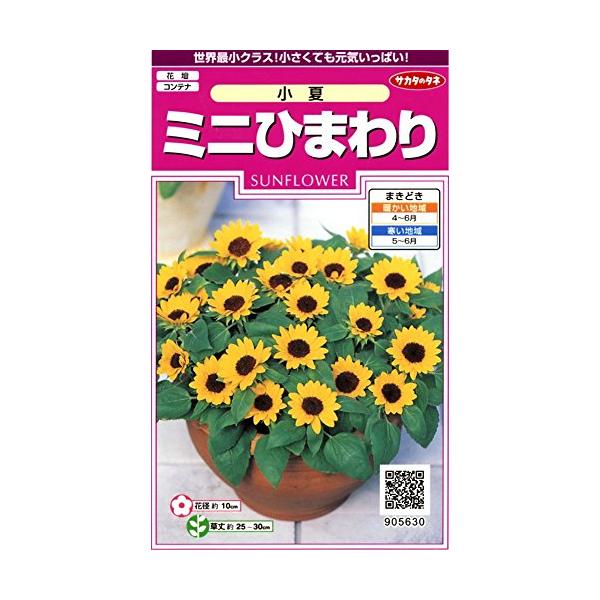 他サイト： サカタのタネ 実咲花5630 ミニひまわり 小夏 00905630の商品画像
