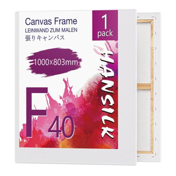 キャンバス 張りキャンバス F40 2枚セット キャンバス画材 油絵 画材 画布 油絵の具 油彩・アクリル兼用 化繊綿製 オイル漏れ防止 厚手