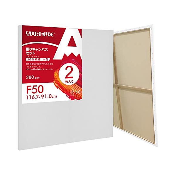 AUREUO 張りキャンバス セット F50 116.7cmX91cm 中目 100％コットン 2