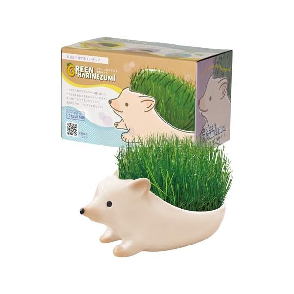-/-/TOY-8-01・ハリネズミ型のプランターを使って、芝を育てることができる栽培キット・芝が伸びたらすてきにカット。育つ様子と一緒に楽しもう・別の植物を育てたり、小物入れとしても使えます・セット内容：プランター（陶磁器）、種、スポンジ...