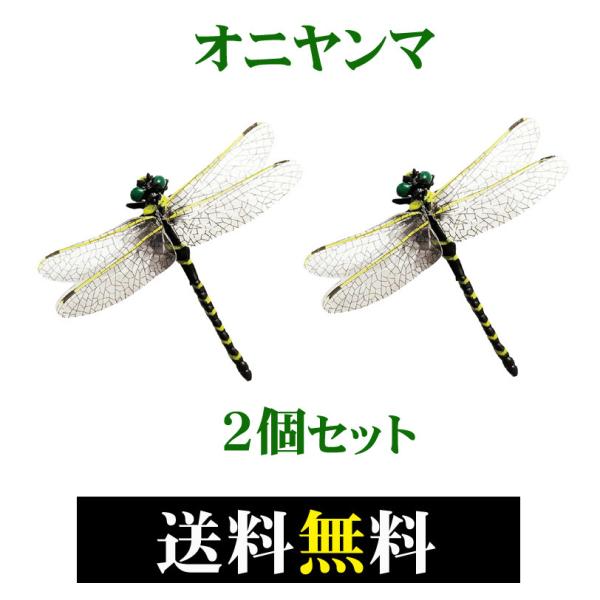 Ij} 12cmTCY QCZbg {TCY ɂ g{ nGEuEJVEAuEEIEH疳 tBM[