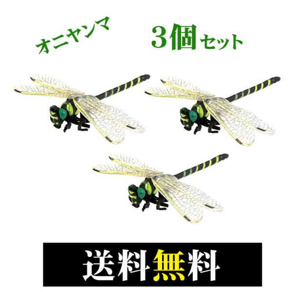 Ij} 12cmTCY RCZbg {TCY ɂ g{ nGEuEJVEAuEEIEH疳 tBM[