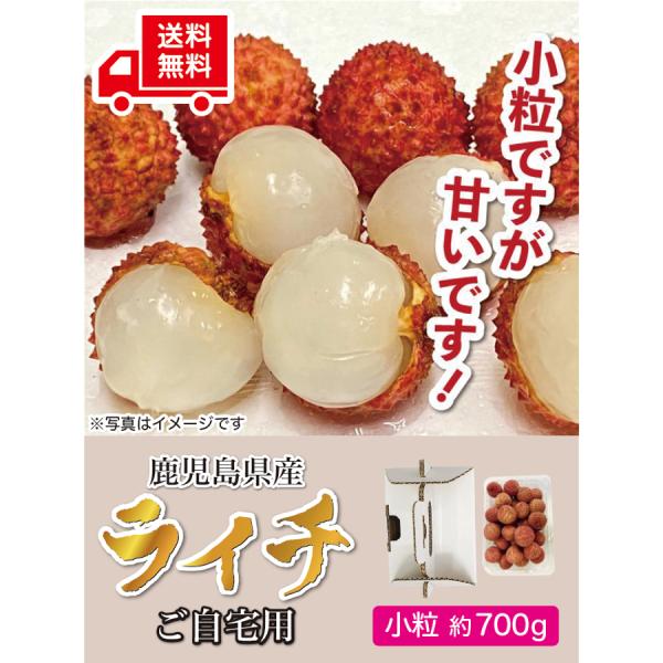 【完売】国産 生ライチ 鹿児島県産 生産販売 ご自宅用 【小粒／たっぷり 約700g】