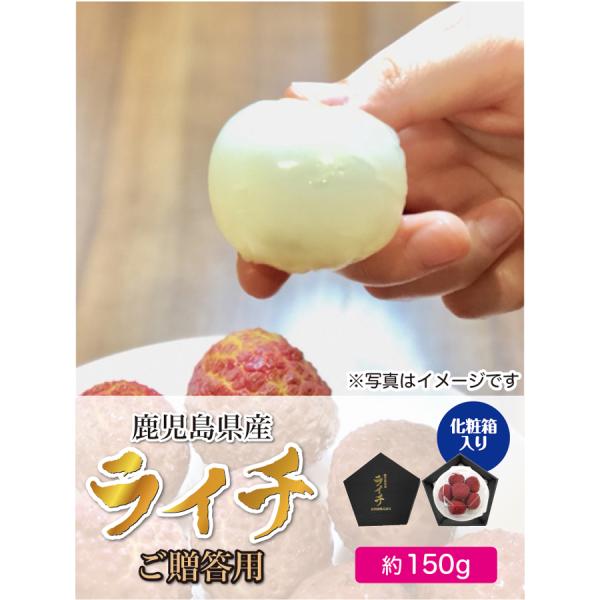【完売】生ライチ 鹿児島県産 国産 生産販売 化粧箱入り 約150g