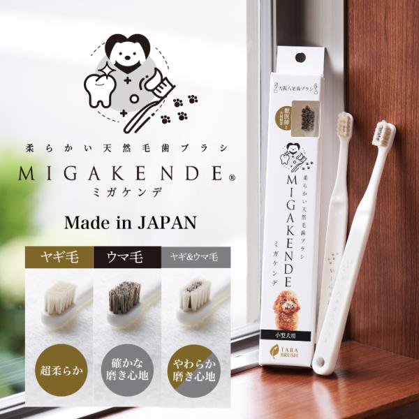 MIGAKENDE ミガケンデ 犬 天然毛 歯ブラシ 歯磨き デンタル ケア 小型犬 犬用歯ブラシ オーラルケア 歯磨き 歯周病 ヤギ ウマ 日本製 lyckatill リッカティル