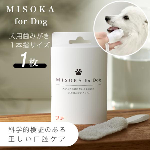 lyckatill-store_ms202310002-1