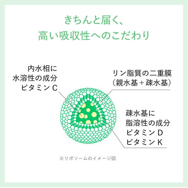 �r�^�~��D3�@�r�^�~��C�@�r�^�~��K�@Lypo-C �����@���|�J�v�Z���r�^�~�� C+D�{K  (30���) �~1��  ���|�V�[ ���|�\�[�� �T�v�� 1000mg / 1��@���������@�t�� ���i�摜5