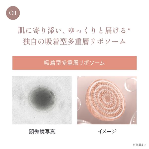 Lypo-C�����@Lypo-C SKINBEAUTY �t�@�[�X�g�O���E�G�b�Z���X 7 PURE DROPS KIT 7�� 1�� ���|�\�[�� ���e�t �h�� �r�^�~��C �������� ���{ ���Y � ���i�摜3
