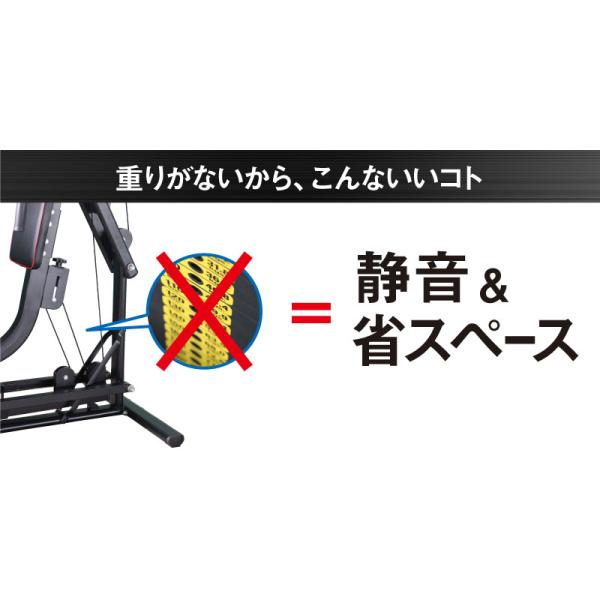 ライシン ホームジム DX マルチ トレーニング 器具 セット 総合
