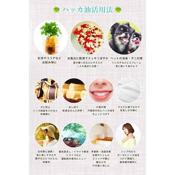 ペパーミント商会 天然ハッカ油お徳用500ml 天然和種ハッカ100 Boisewomenrun Com