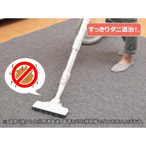 Lifejoy 日本製 ホットカーペット 2畳 176cm 176cm グレー コンパクト収納 信頼 Jcu1