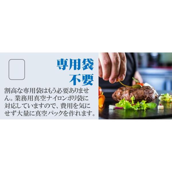 業務用真空袋対応 5 好評 フードシールド 業務用 真空パック器 標準版 吸引力80kpajp290
