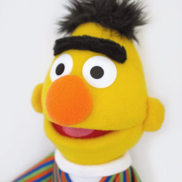 Gund Sesame Street セサミストリート セットアップ バート Bert