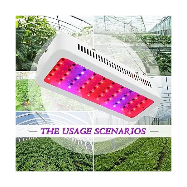 Derlights 植物育成ledランプ 300w 植物育成ライト フルスペクトル 室内栽培 プラントライト 水生