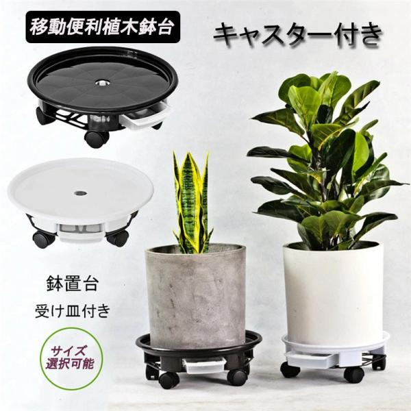 人気の福袋 超お買い得 新品 未使用 プランターベース 植木鉢台 キャスター付き 台車 横幅cm ナチュラル その他 Www 10cosedafare It Www 10cosedafare It
