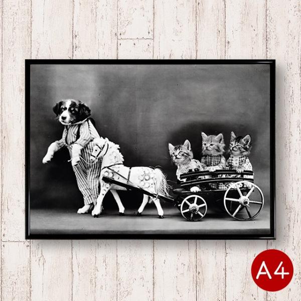 A4|X^[ ƔL̃mN|X^[No.1 n }bgR[g mg[ mN  ʐ^ A[g|X^[ re[W k