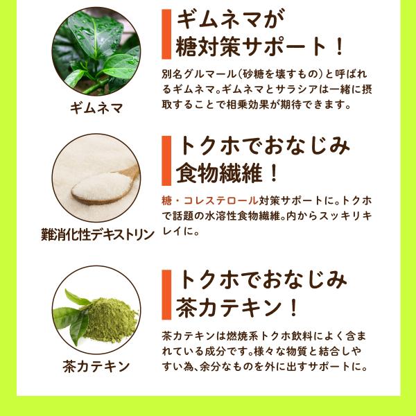 サラシア サプリメント サラシアシルベスタEX 180粒(3ヵ月分) サラシアエキス ギムネマエキス 難消化性デキストリン 茶カテキン /【Buyee】 サラシア サプリメント サラシアシルベスタEX 180粒(3ヵ月分) サラシアエキス ギムネマエキス 難消化性デキストリン 茶カテキン /【Buyee】