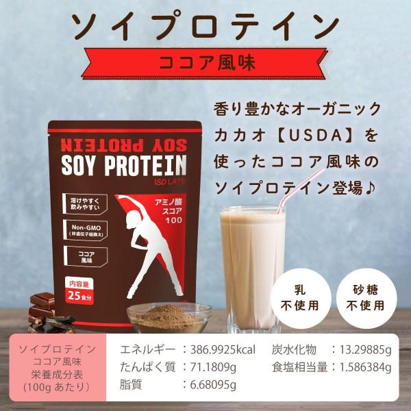 ソイ プロテイン ココア チョコ 風味 500g 大豆プロテイン 大豆 