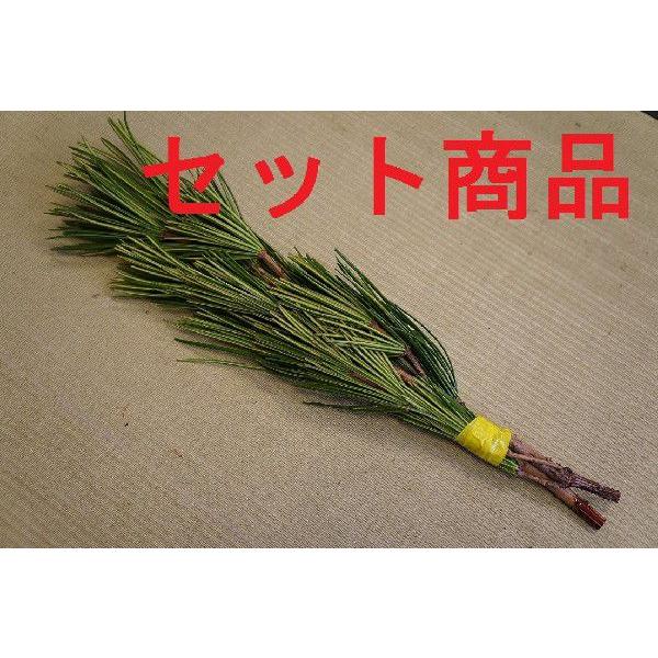 ꠁiRE}LjNo.04@10Zbg/Q{`R{g({ws) 50cmOケ܂