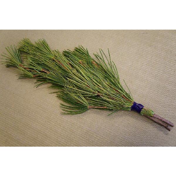 ꠁiRE}LjNo.05/Q{Pg/60cmOケ܂