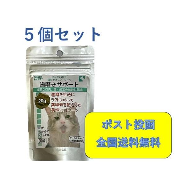 猫にやさしいトリーツ　歯磨きサポート　20ｇ× 5個セット　Dr.VOICE