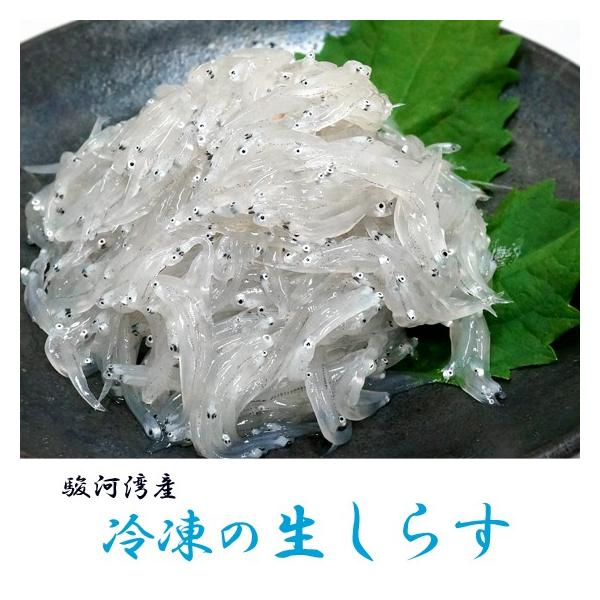生しらす 駿河湾産お刺身しらす 冷凍 : しらす・桜海老の本橋 生しらす 駿河湾産お刺身しらす 冷凍 : しらす・桜海老の本橋