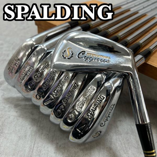 SPALDING スポルディング INTERNATIONAL Cygnus