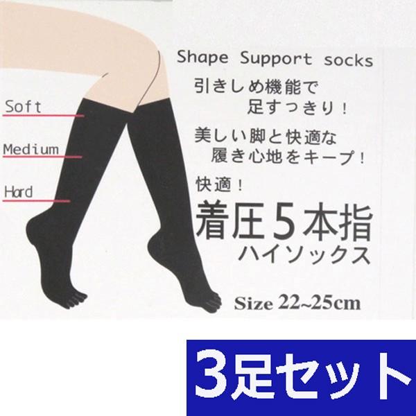 \bNX 5{w 3Zbg n ނ݂Ƃ nC\bNX