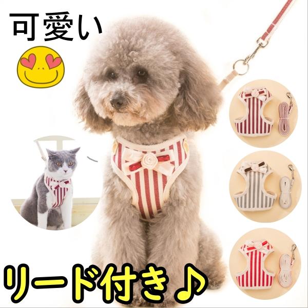 マカロニセブンマーケット Yahoo ショッピング