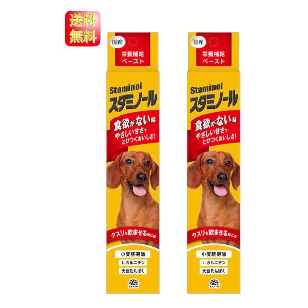 【2本セット】[アース・ペット] スタミノール 100g