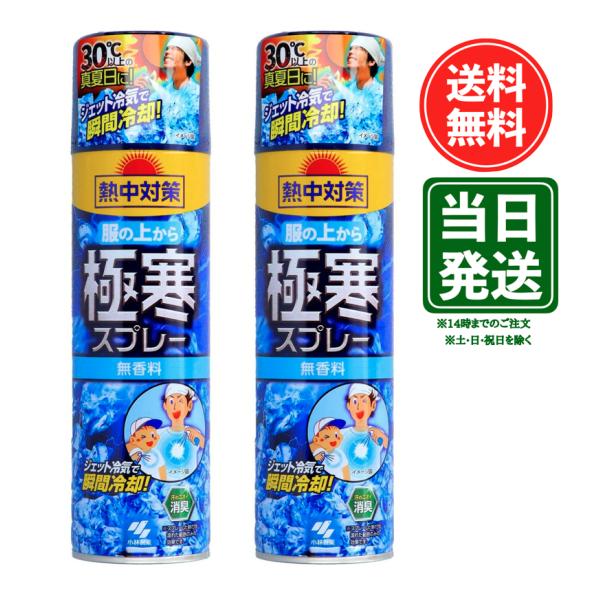 【2本】桐灰化学 熱中対策 服の上から極寒スプレー 無香料 330ml