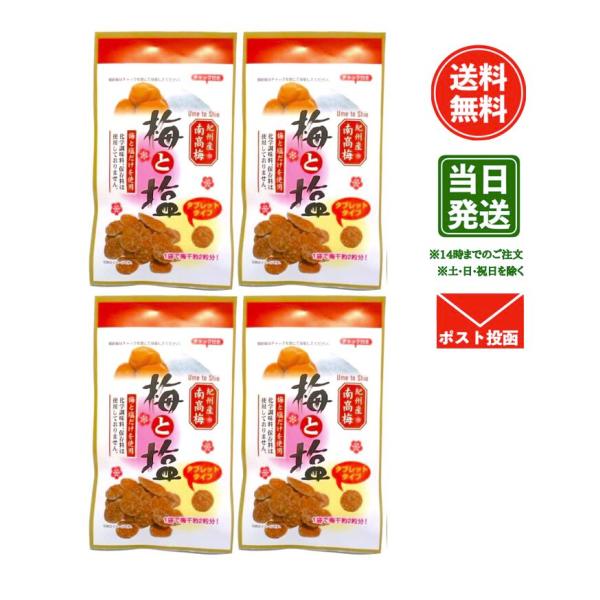 【1000円ポッキリ】マルヤマ食品 梅と塩 7g×４袋