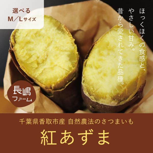 9月〜1月予約 紅あずま 5kg （選べるM／Lサイズ） : 花悠 豚肉専門店