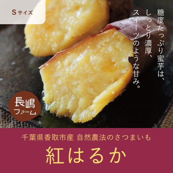 さつまいも 産直 紅はるか 5kg Sサイズ Ng02 06 花悠 豚肉専門店 マームピッグ 通販 Yahoo ショッピング