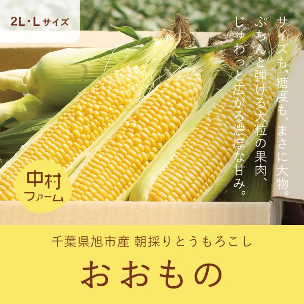 ミナミ様　茄子、ジャガイモ、とうもろこし、果物セット ミナミ様 茄子、ジャガイモ、とうもろこし、果物セット