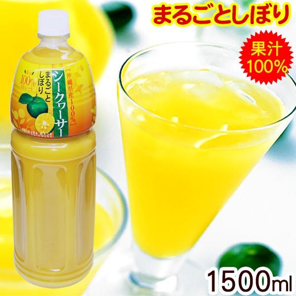 V[N[T[܂邲Ƃڂ 1500ml@/ʏ`100 YV[N[T[W[X t uh