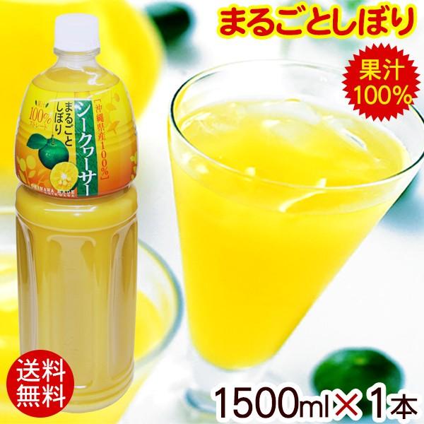 V[N[T[܂邲Ƃڂ 1500ml×1{@/ʏ`100 YV[N[T[W[X t uh