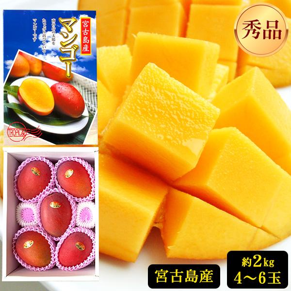 完熟マンゴー宮古島産 楽天市場】宮古島産 完熟マンゴー 2kg 【秀品】（アップル