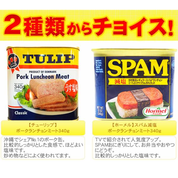 選べるポークランチョンミート 6缶セット レターパックプラス送料無料 チューリップ スパムspam Buyee Buyee Japanese Proxy Service Buy From Japan Bot Online