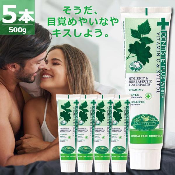 【正規品】デンティス DENTISTE' [100g×5本] 歯磨き粉 PLUS WHITE プラスホワイト